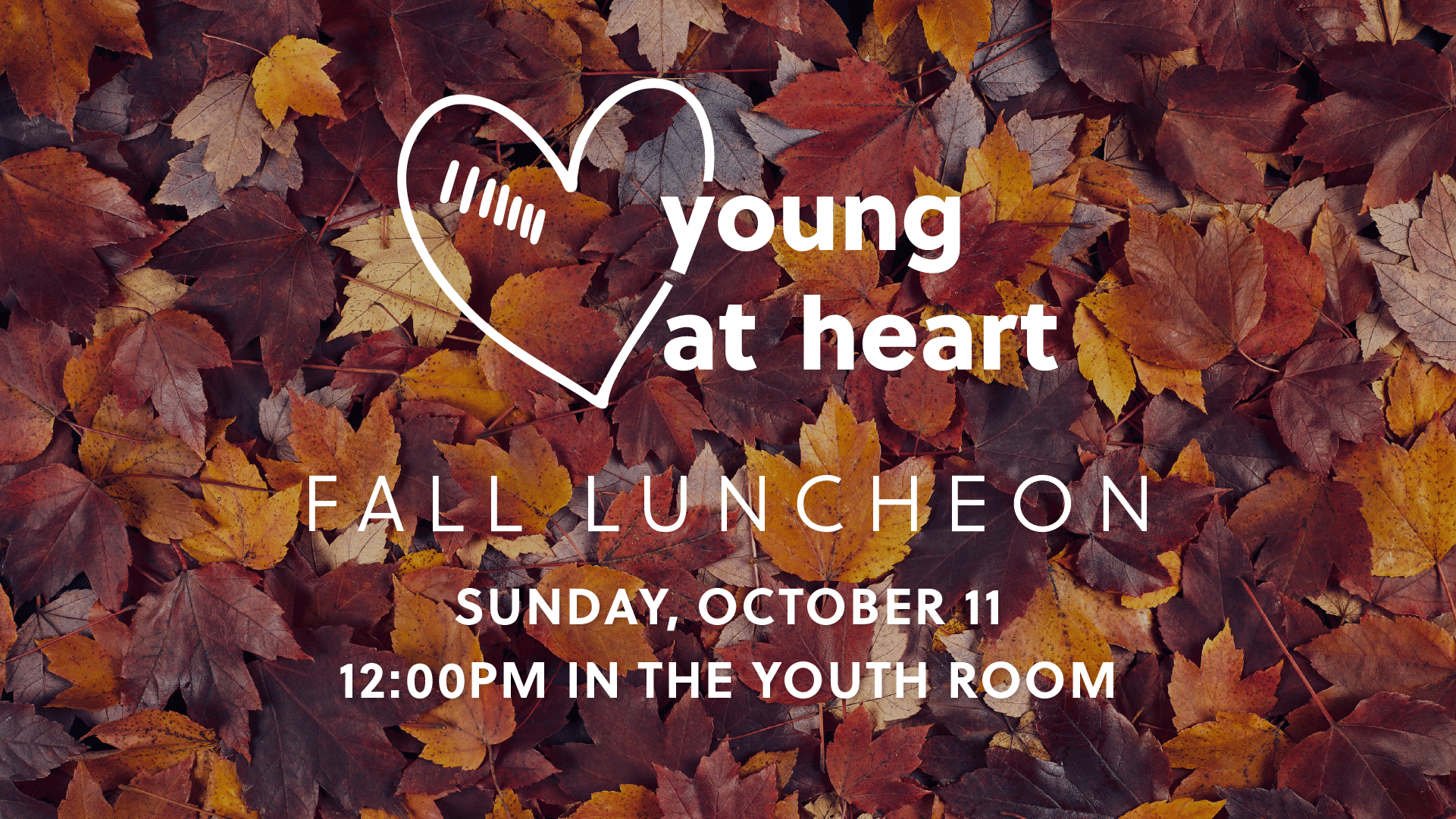 YAHfall26_email rectangle
